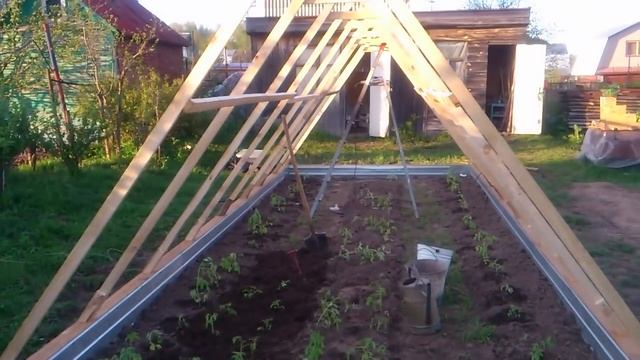 Теплицу строим за день.