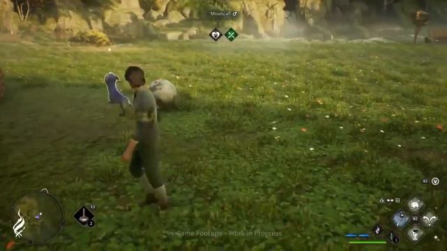 WESD #29. Hogwarts Legacy: все волшебные существа и фантастические звери в игре. смотреть онлайн