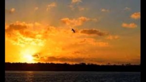 Пускай ты выпита другим. Слова: С. Есенин.  Музыка: Г. Пономаренко. Исп. Т. Рехельс