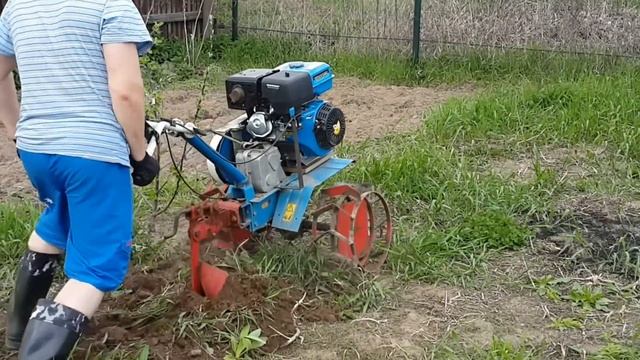 20150511 Проба мотоблока НЕВА tuned edition )) смотреть онлайн