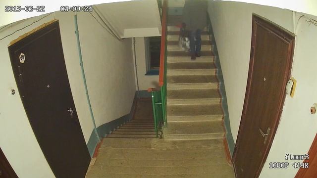 Почему в подъезде не стоит прикасаться к перилам смотреть онлайн
