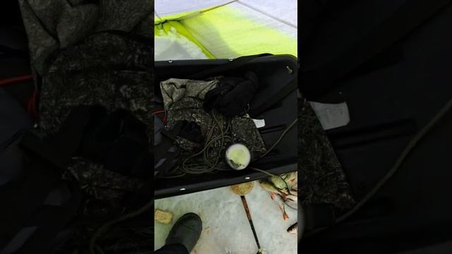 Весенняя рыбалка со льда.Ловля плотвы на Чудском озере смотреть онлайн