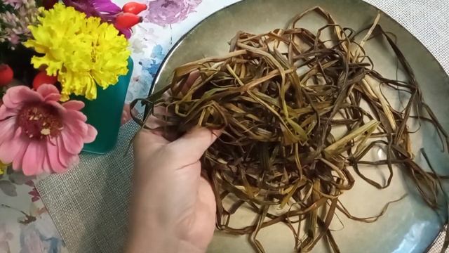 Сушка и подготовка к плетению листьев лилейника. Что плести и как заготовить сырье из лилейника. смотреть онлайн