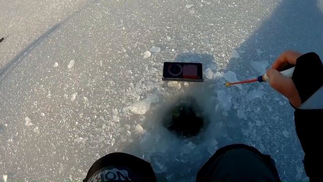 Deeper Chirp и подводная камера. Анализ возможностей эхолота Дипер на зимней рыбалке
