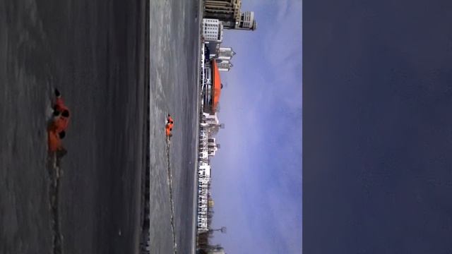 Спасение собаки в екатеринбурге смотреть онлайн