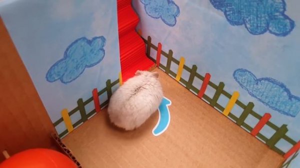 Squid Game Hamster Maze with Traps ☠️ [OBSTACLE COURSE]