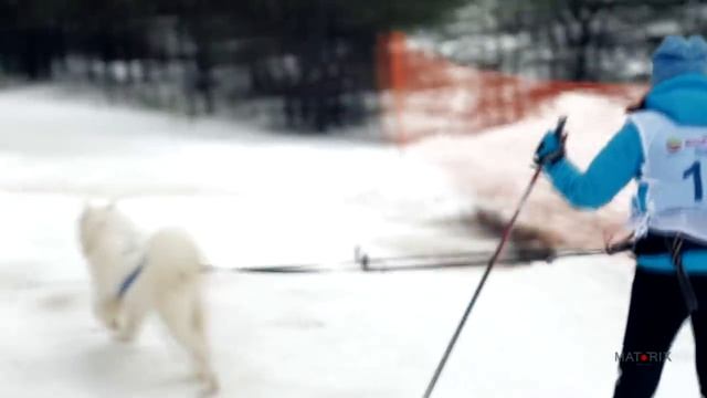 ЗИМНЯЯ СКАЗКА-2015 (День первый) смотреть онлайн