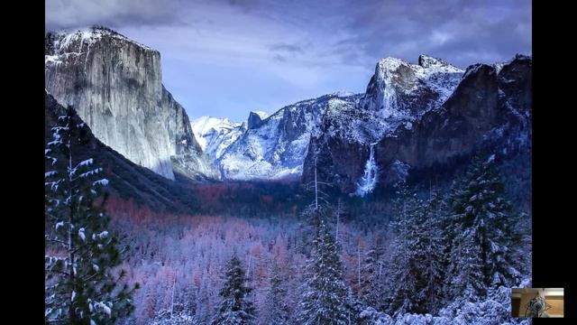 Малышка бросилась под колеса дорогой машины с криком 