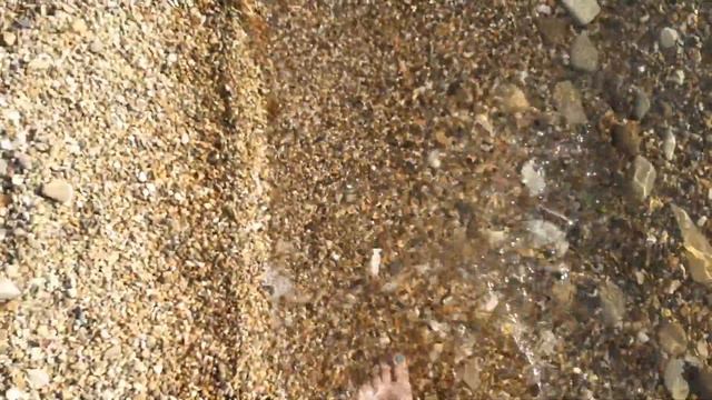 Прогулка по берегу чёрного моря смотреть онлайн
