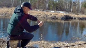 Рыбалка 2019. Боковой кивок. Лещ.