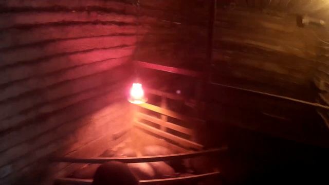 Вьетнамские поросята №16 Взвешивание, зима. смотреть онлайн