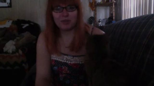 How dysphoria stole my wonderful evening смотреть онлайн