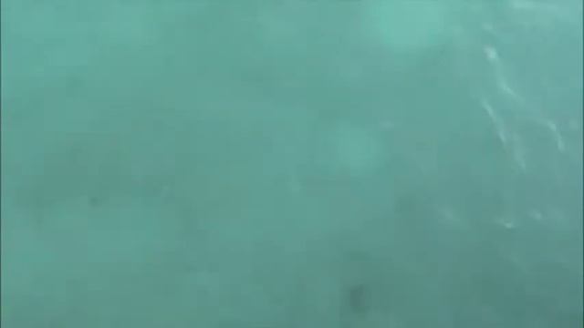 Our Maldives Trip " someplace worth a closer look " смотреть онлайн