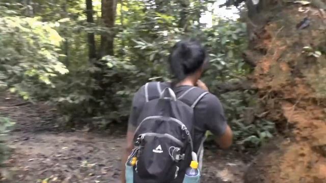 СУМАТРА, Букит Лаванг. В ГОСТЯХ У ОРАНГУТАНГОВ / SUMATRA, Bukit Lawang. Jungle Trekking смотреть онлайн