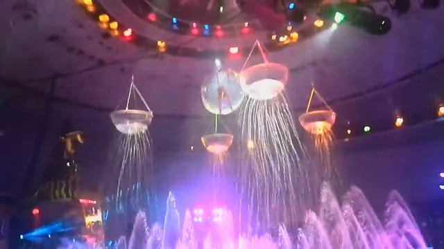 Цирк на воде. Воронеж 2015 смотреть онлайн