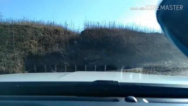 Ford Ranger XLT. Форд Рейнджер. смотреть онлайн