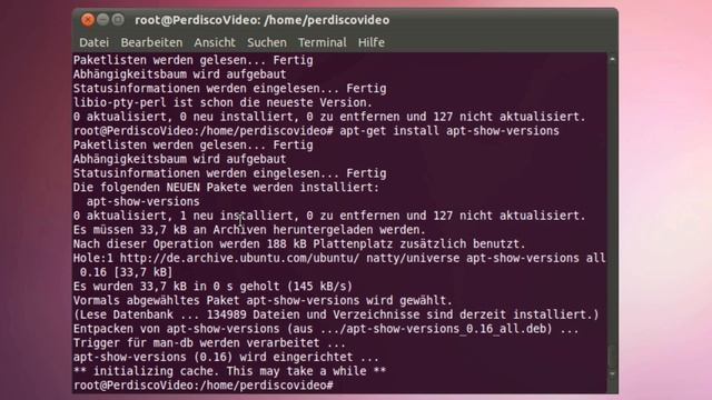 Ubuntu Server einrichten - PerdiscoVideo смотреть онлайн
