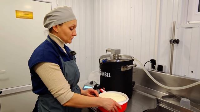 Как сделать ПЛАВЛЕННЫЙ СЫР / КОЛБАСНЫЙ СЫР ДОМАШНЕГО КОПЧЕНИЯ / СЫРОВАРНЯ FANSEL PRO / Брынза рецеп смотреть онлайн
