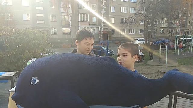 Песня КРАСОТА СИНЕГО КИТА и мягкая игрушка СИНИЙ КИТ. Первые впечатления смотреть онлайн