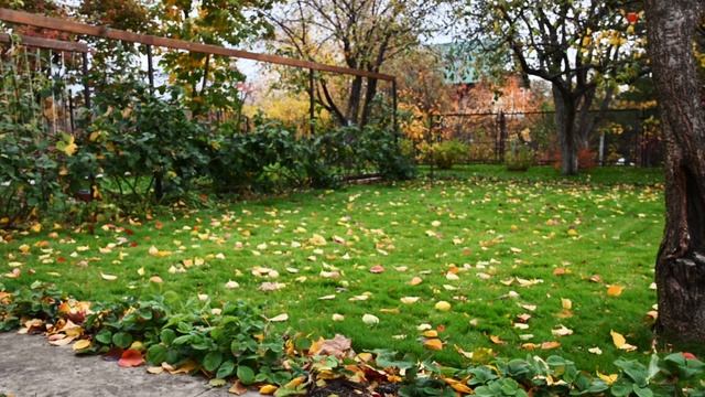 ЗАКРЫВАЕМ дачный СЕЗОН/Октябрь/Названия растений смотреть онлайн