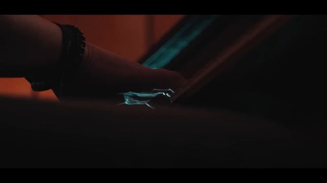 Purva bridējs - Intars Busulis, Abonementa orķestris смотреть онлайн