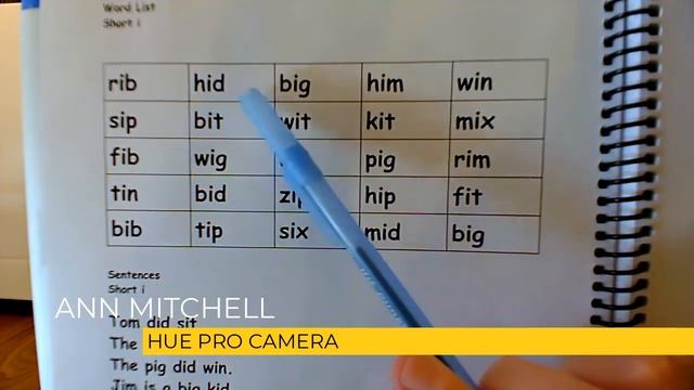 How to use the HUE Pro Camera and Zoom for an OG tutor - Castle Rock Online Reading Tutor смотреть онлайн