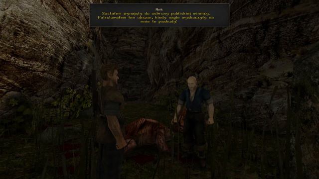Nek Easter Egg! Gothic II: Kroniki Myrtany Archolos Ciekawostki смотреть онлайн