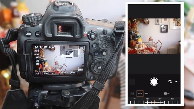 HOW I SHOOT MY OWN INSTAGRAM PHOTOS WITH THE CANON 6D MARK II | Wifi Camera Settings смотреть онлайн