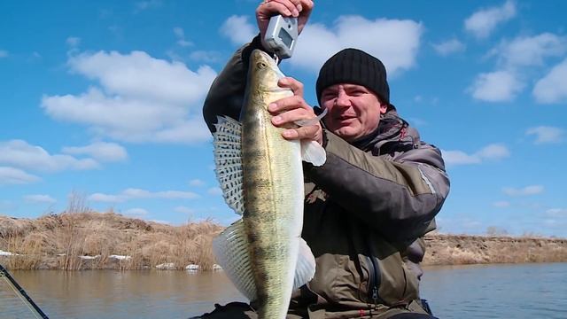 ЗАЧЁТНЫЙ СУДАК В ПОЛОВОДЬЕ. ЛОВЛЯ СУДАКА ВЕСНОЙ / Простая рыбалка с AikoLand TV смотреть онлайн