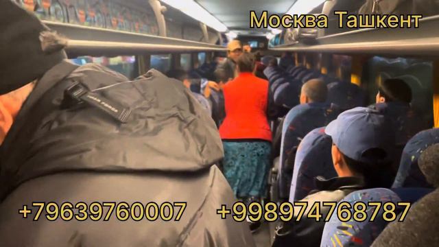 Москва Ташкент автобус 🚌 #автобус #москва #ташкент #2024 #каждый #день #прямой #рейсы смотреть онлайн