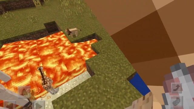 Minecraft Wildlife Savannah Showcase