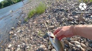 Река Томь, рыбалка на хариуса, природа, тайга, Кузбасс, Салтымаково