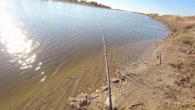 Рыбалка в Астрахани октябрь 2021. Пожарил карасей. смотреть онлайн