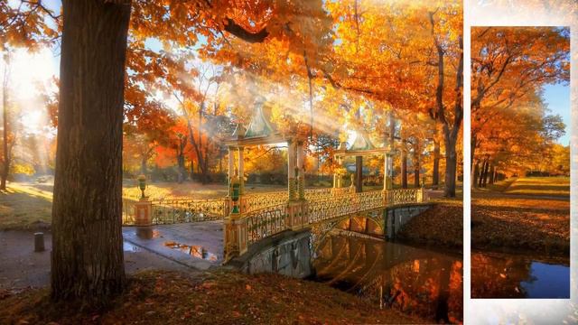 Шалунья осень-В.Алмазов смотреть онлайн