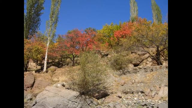 Матча Зеравшан фото смотреть онлайн