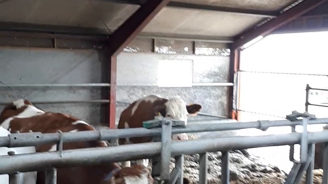 Зарубежный КРС оптом смотреть онлайн