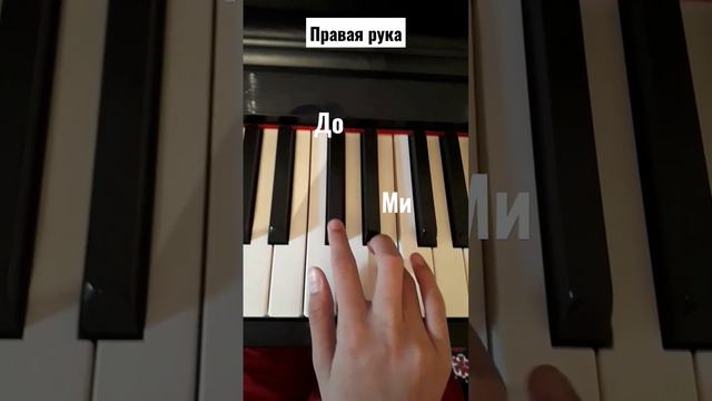 Красивая мелодия за 1 минут/На камере я негр😭😭😭 смотреть онлайн