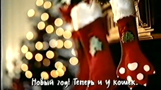 Whiskas / Новый год! Теперь и у кошек.