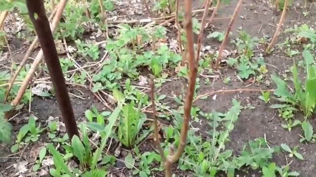 Строительные Новости