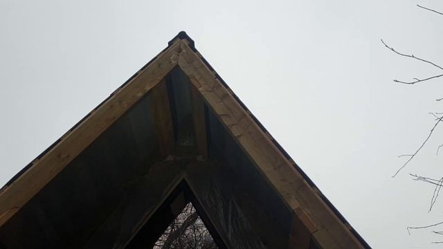 ДЯТЕЛ УНИЧТОЖАЕТ ДОМ!!! Птицы вредители. смотреть онлайн