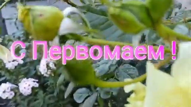 С праздником Мира и Труда ! С Первомаем! Мир ,Труд, Май !!! смотреть онлайн