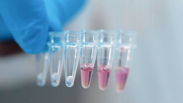 JeTest Direct HPV（16 18）Detection Kit смотреть онлайн