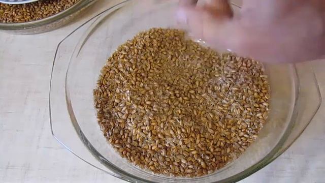 Пшениця на кутю - негативний досвід смотреть онлайн