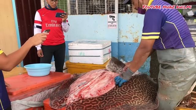 Ikan pari harimau 64 kilograms. смотреть онлайн