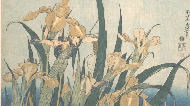 Хокку: Ирисы и птицы Кацусика Хокусая. По мотива гравюр Хокусая. Японская поэзия смотреть онлайн
