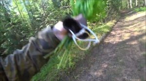 Нагонка русских гончих.