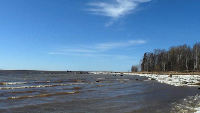 SurfAlco смотреть онлайн