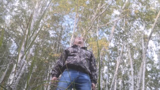 Сезон грибов Тихая охота. смотреть онлайн