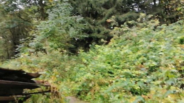 Дача Месмахера. 25.09.2022. смотреть онлайн