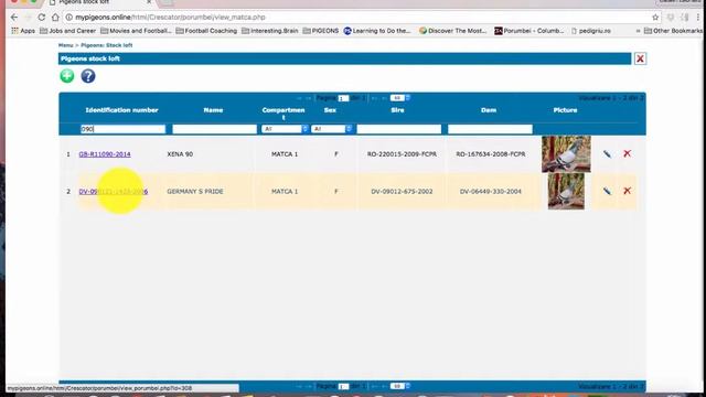 How to search a pigeon in mypigeons.online application. How to print a list of yor racing pigeons смотреть онлайн